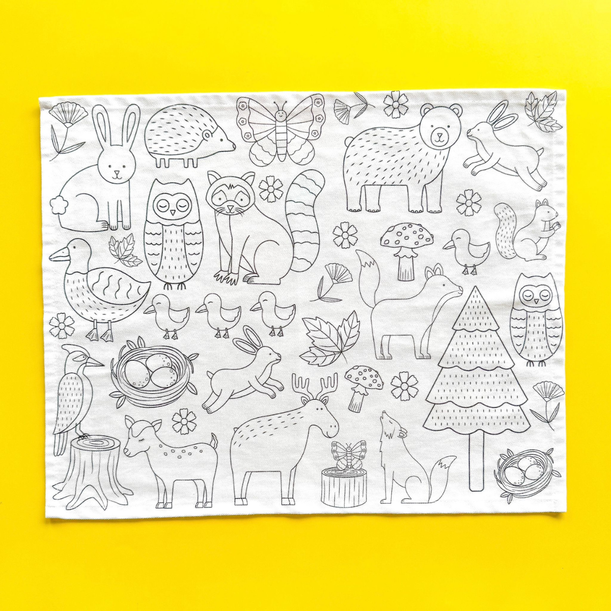 Woodland Wonders