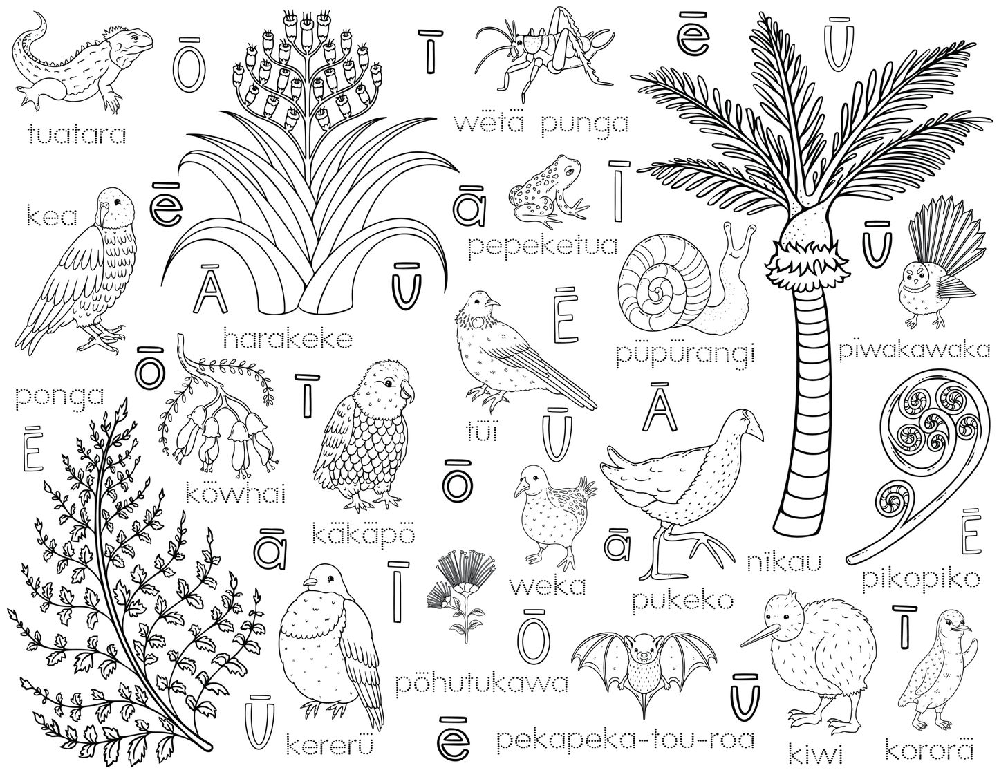 Seconds - Washable Colouring - In Solo Mats -  - Colour Me Kids