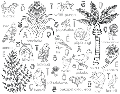 Seconds - Washable Colouring - In Solo Mats -  - Colour Me Kids