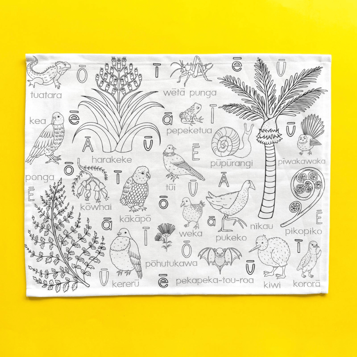Solo Mat Duo - Pick Your Own Bundle -  - Colour Me Kids