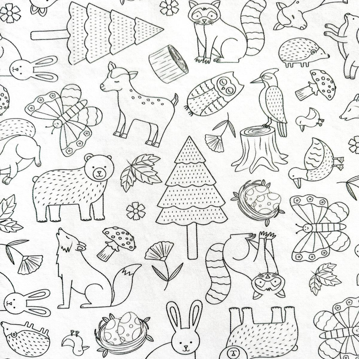Woodland Wonders