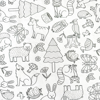 Woodland Wonders